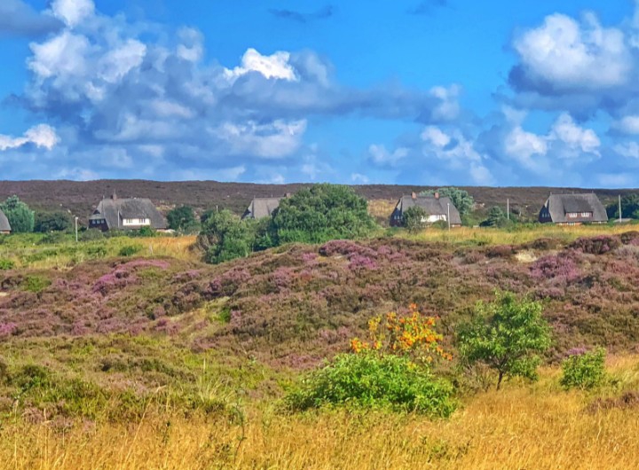 Sylt