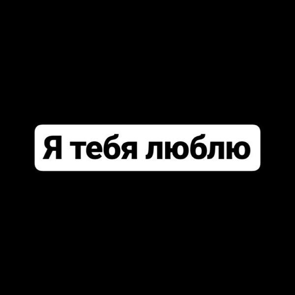 я тебя люблю