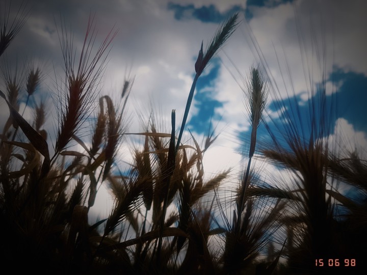 sky