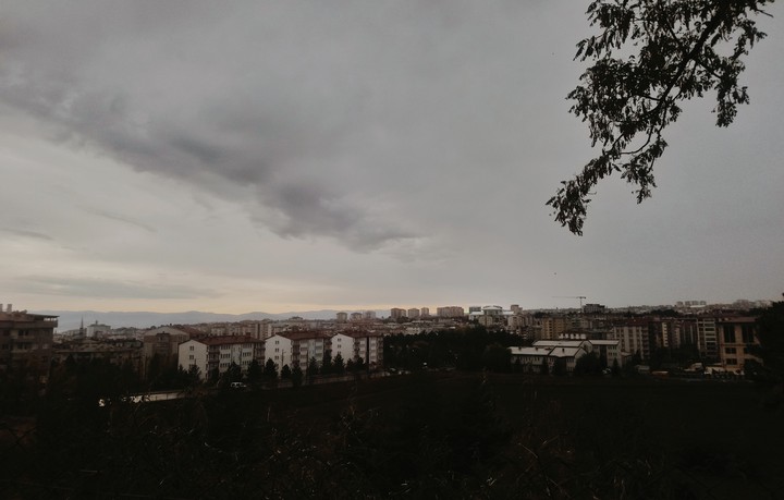 Autumn
