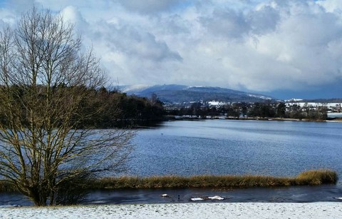 Winter