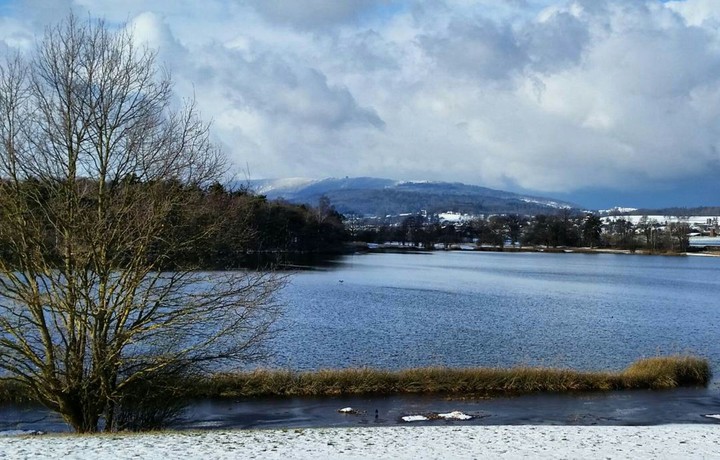 Winter