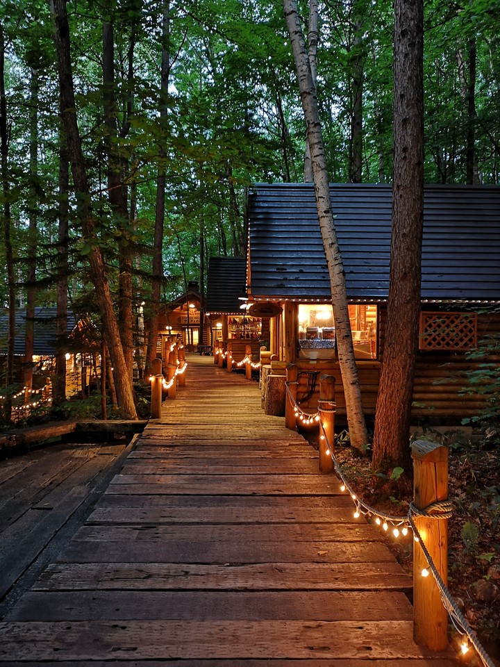 Tree house