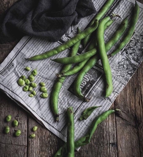 ταπετσαρίες plant, Bean