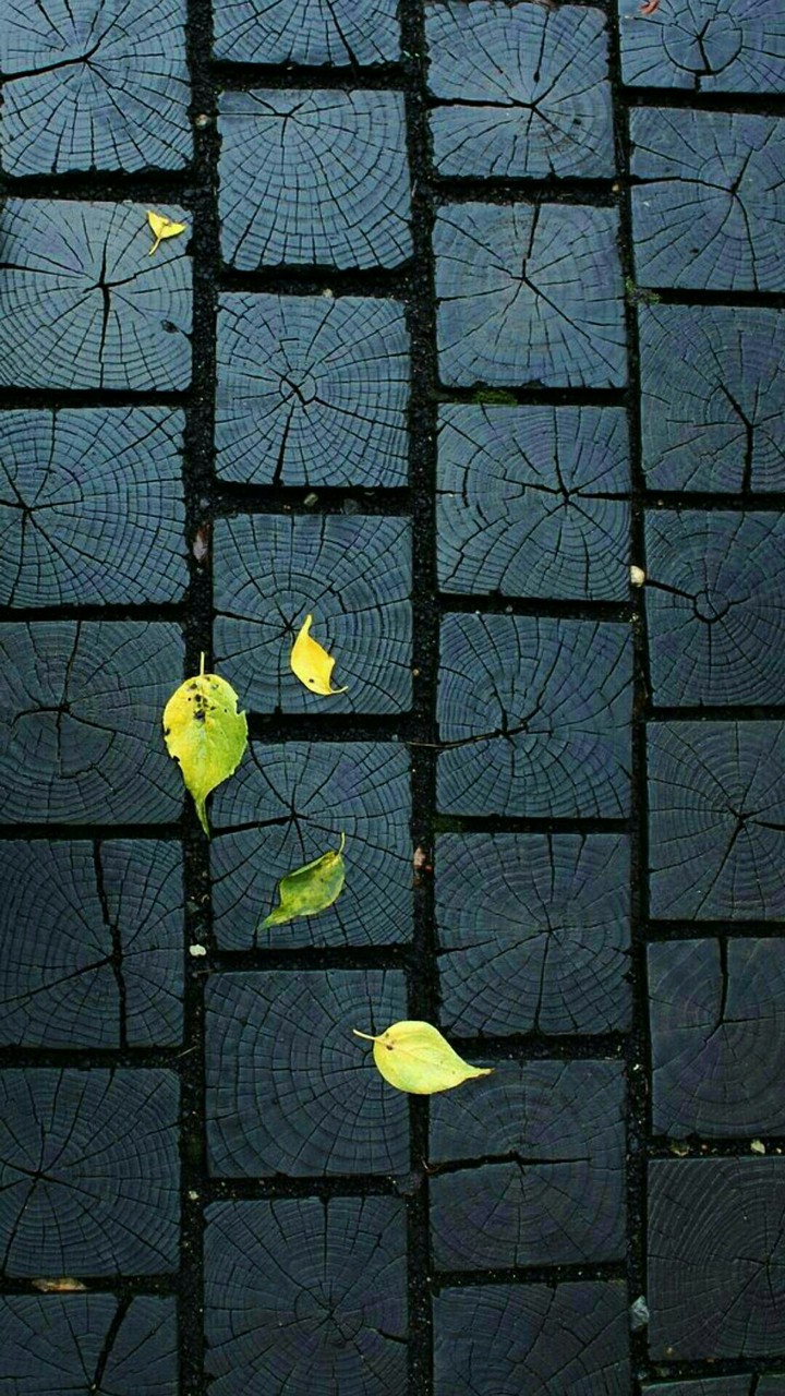 floor&leaves