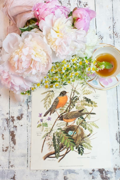 peonies, chamomile, robins