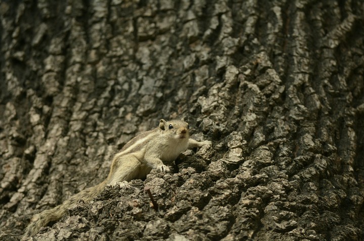 photo_1