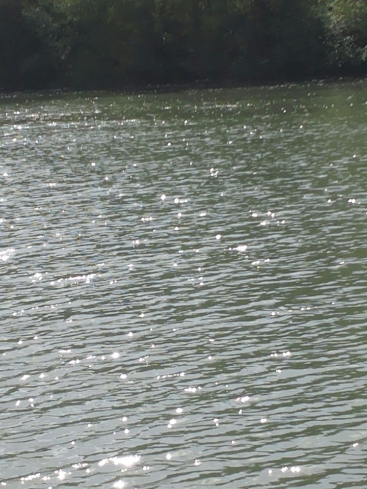 SUN in the river