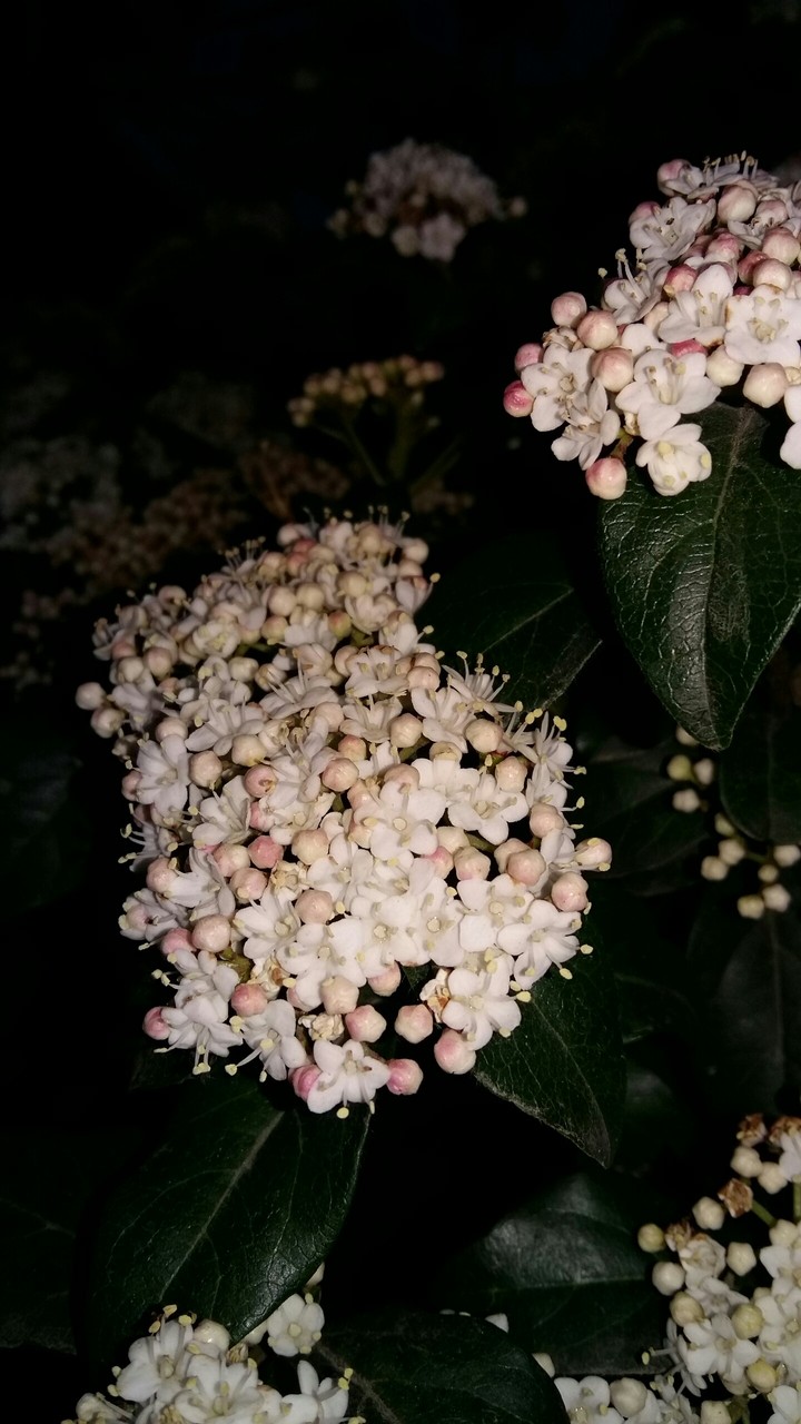 beatifulll wonderfull
