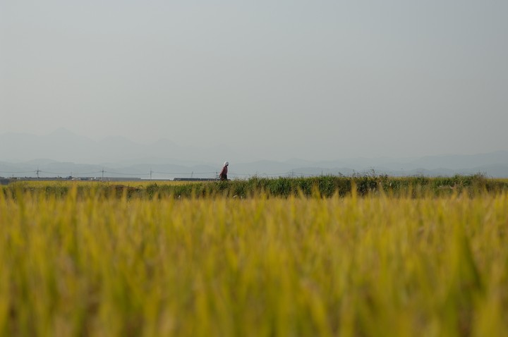 Asia