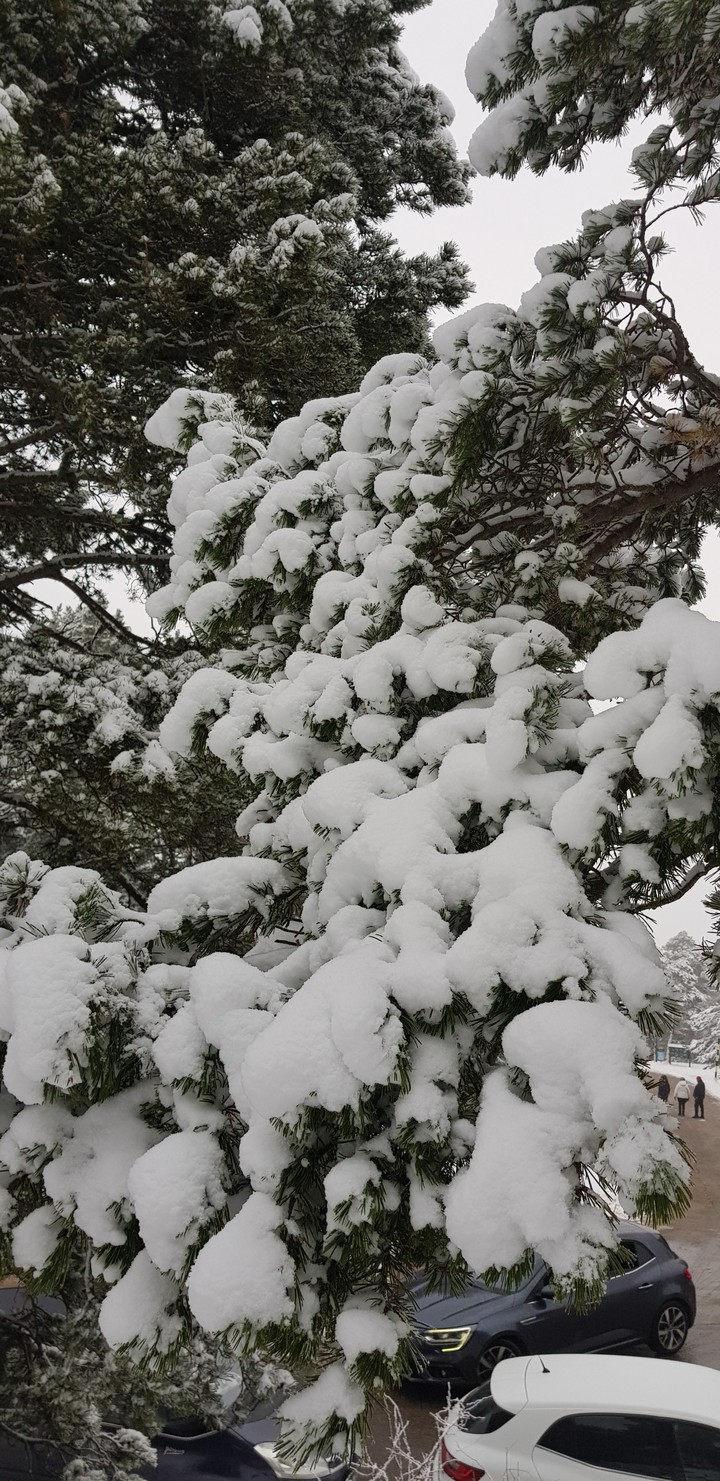 snow