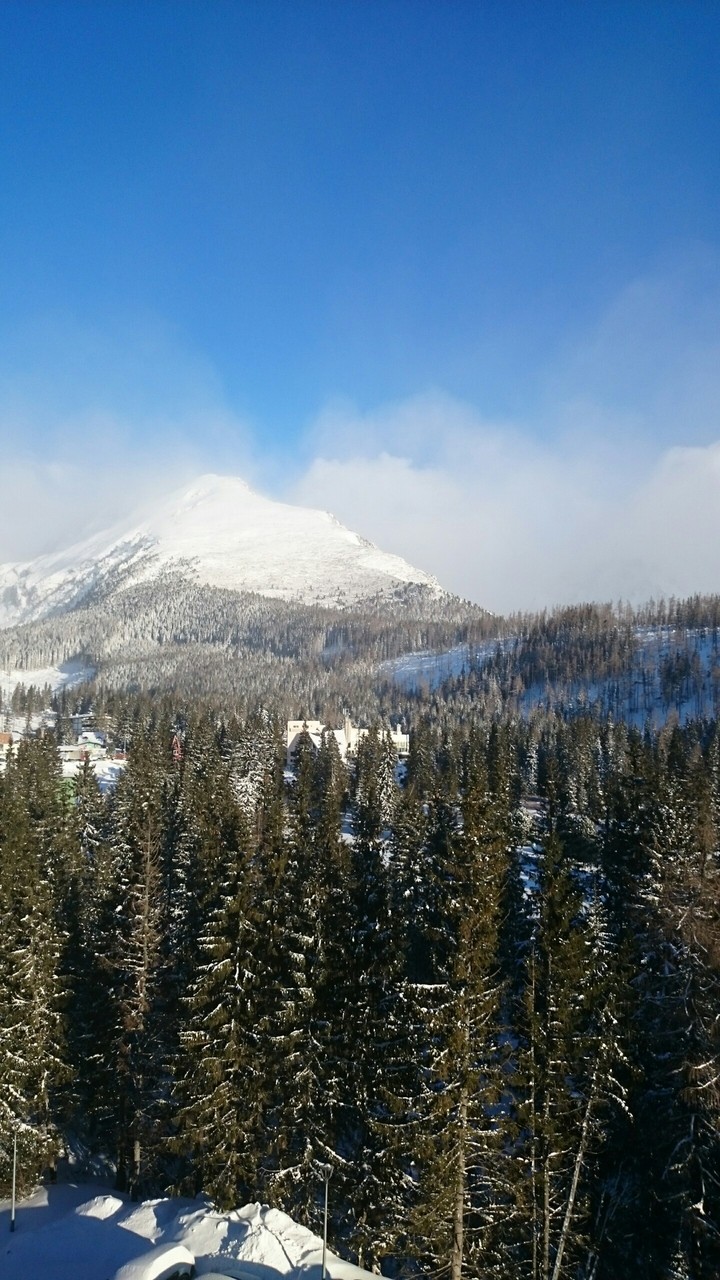 Winter