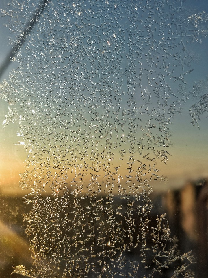 Snow Windows