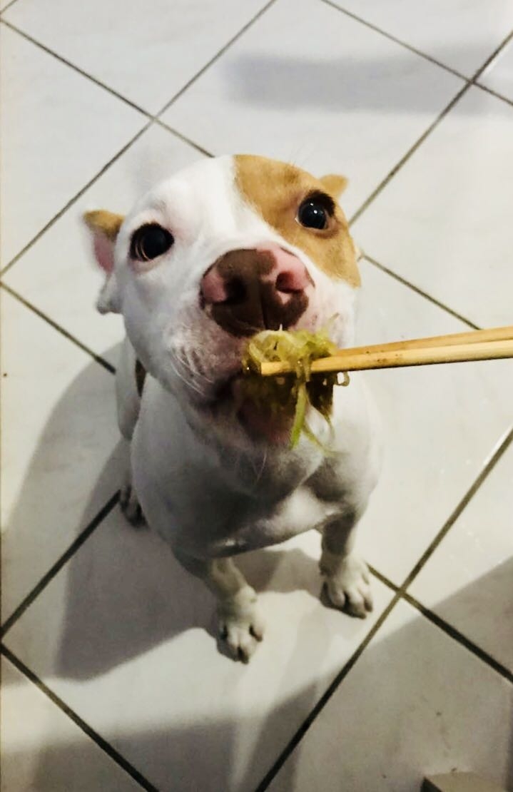 pipoca