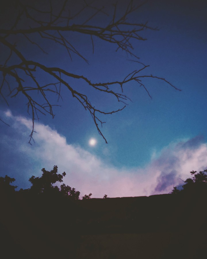 evening