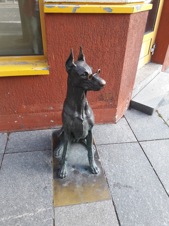 Dog