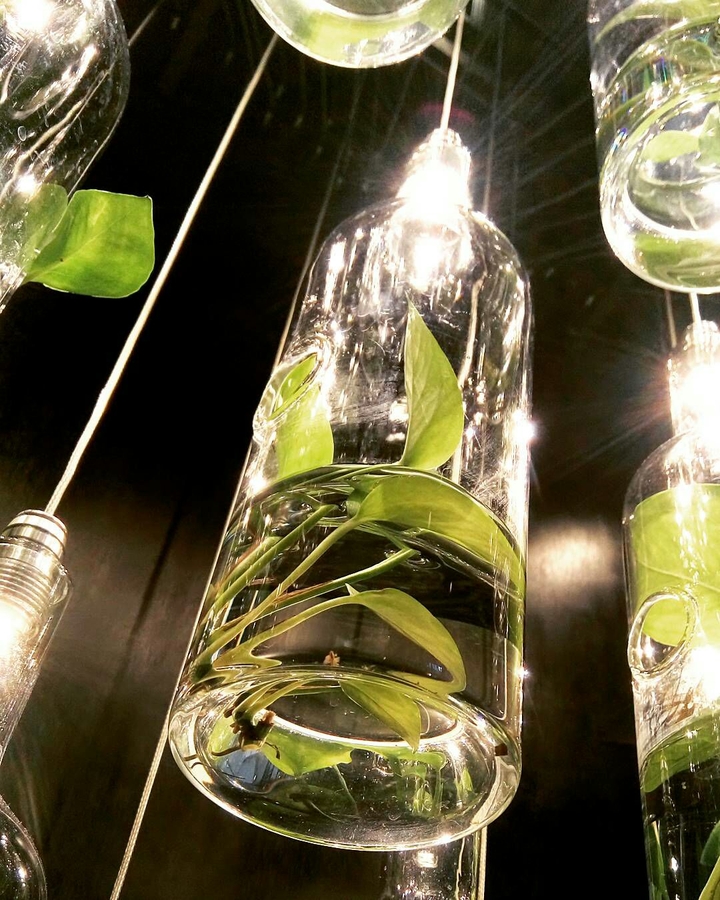 Green in Bottle