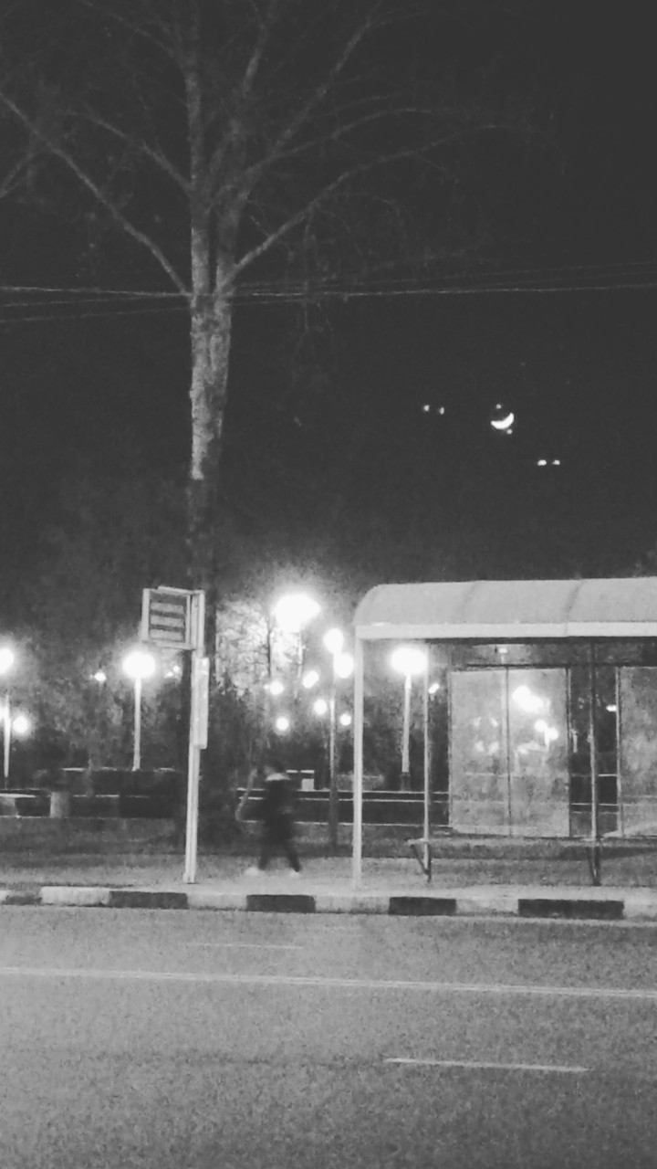 night