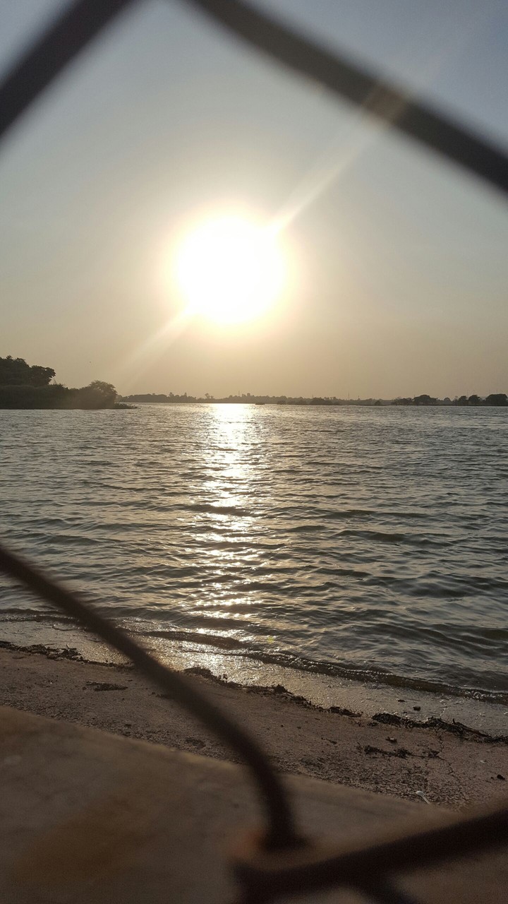 natural photography