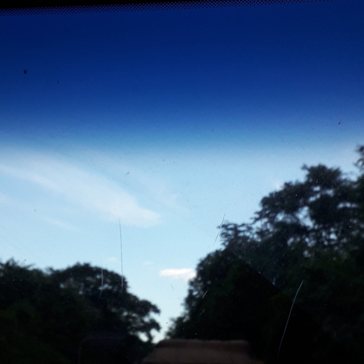 Um dia qq