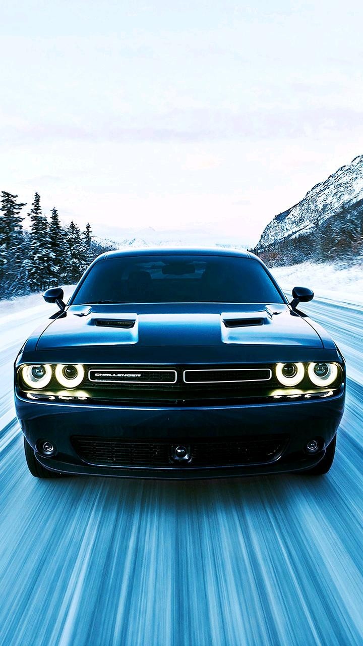Dodge
