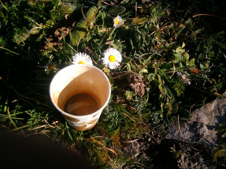coffee morning