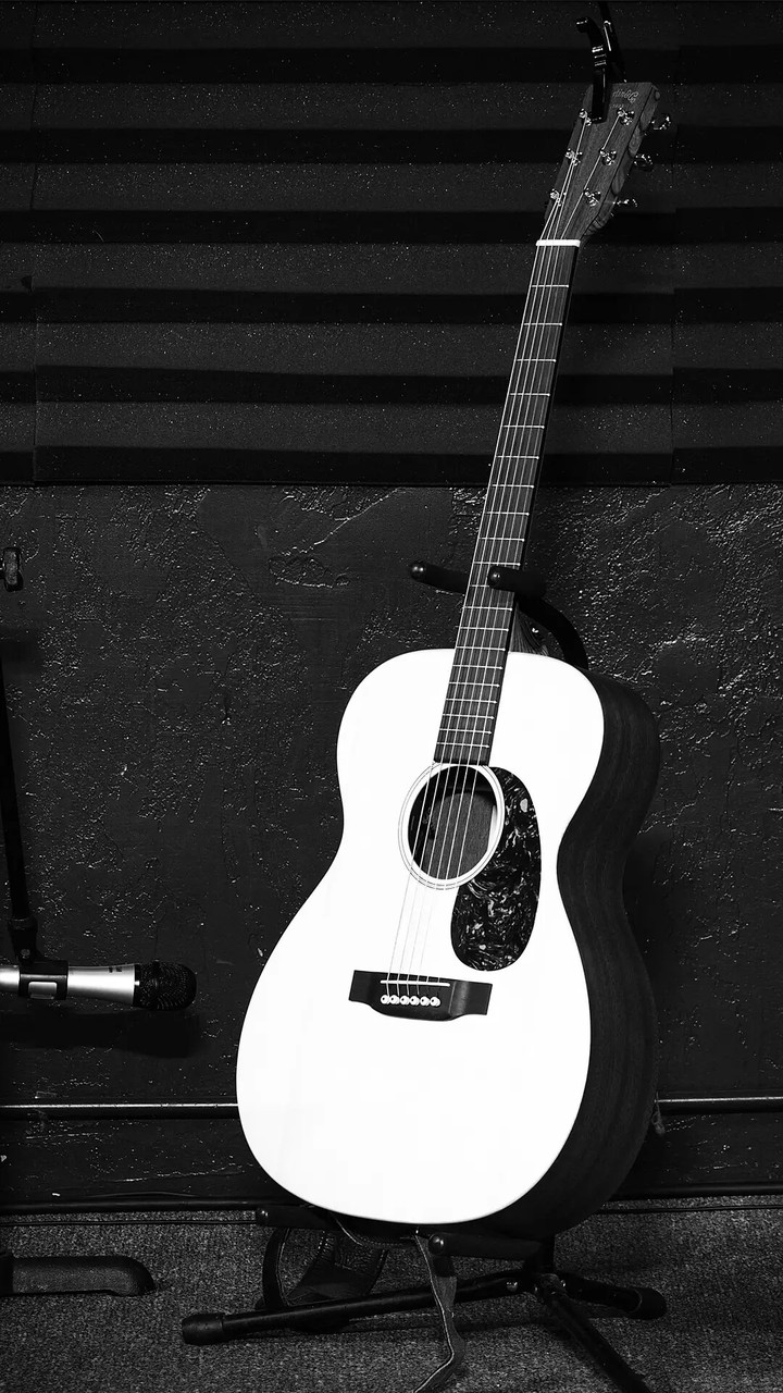 B&W Guitar