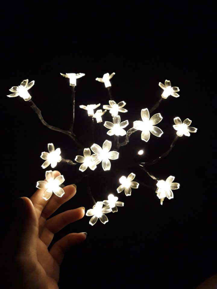 luminous flowers
