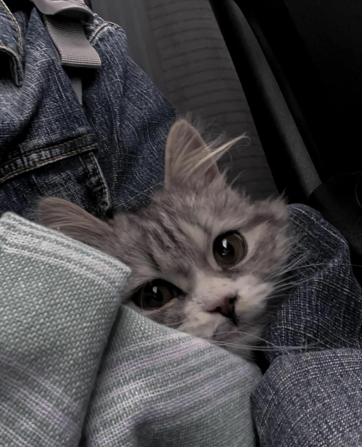 cute