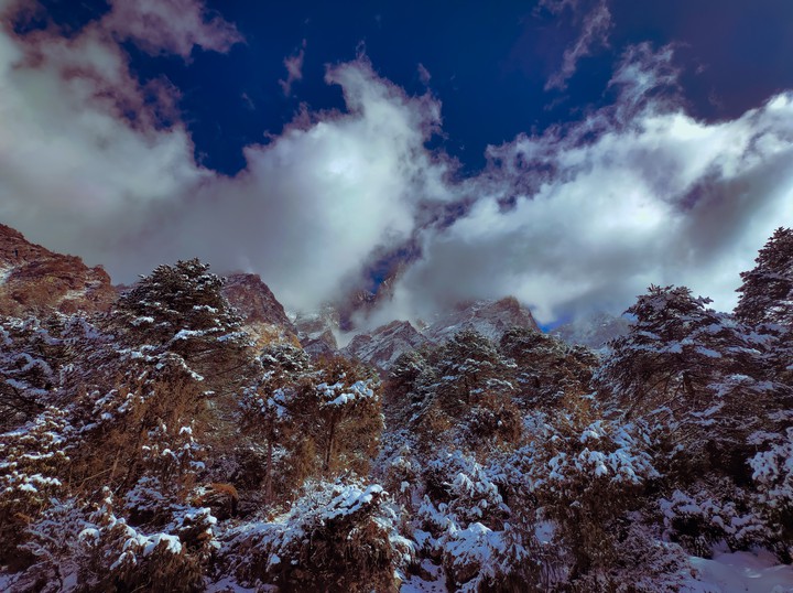 Mt. katao Area, Lachung, North Sikkim, India