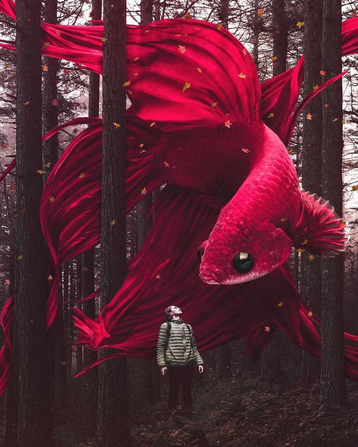wallpaper