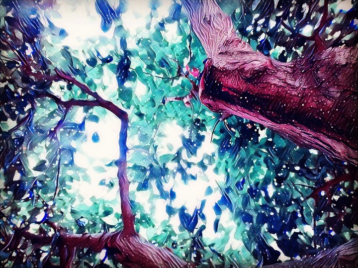 Dream Tree