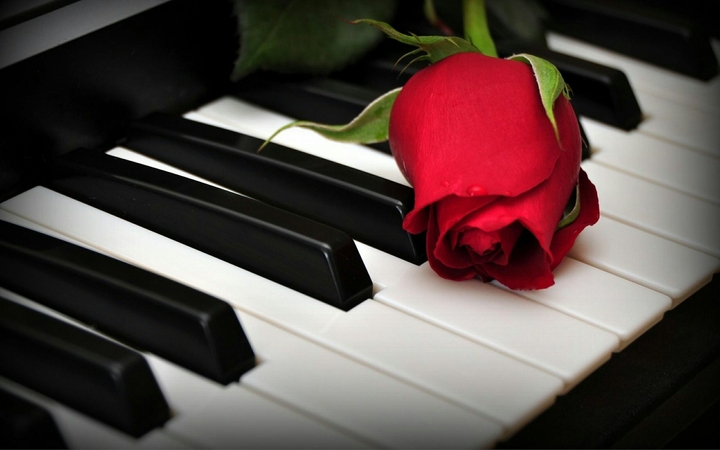 Music passion