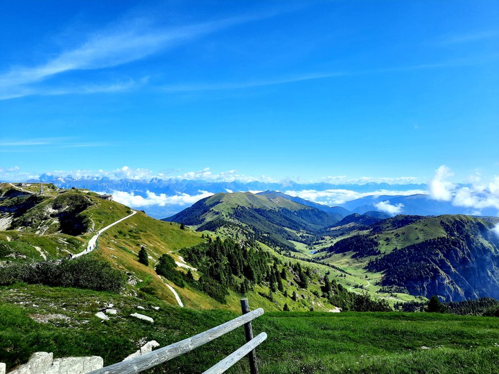 Green and blue