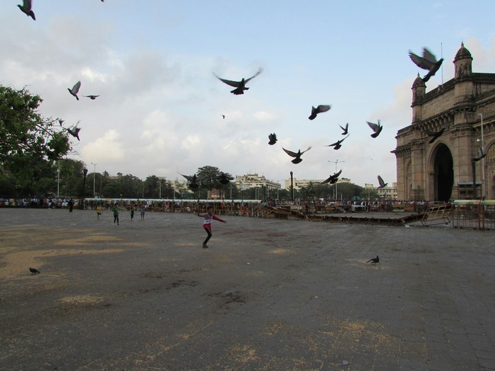 Mumbai dairies