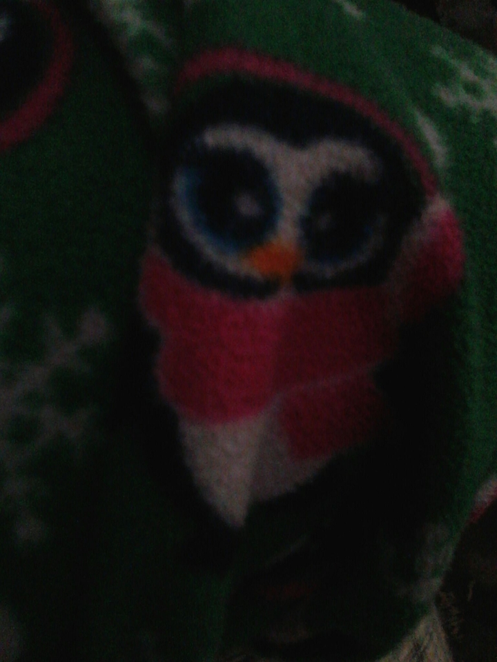 Pingüino