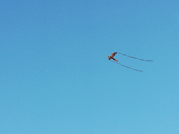 cometa