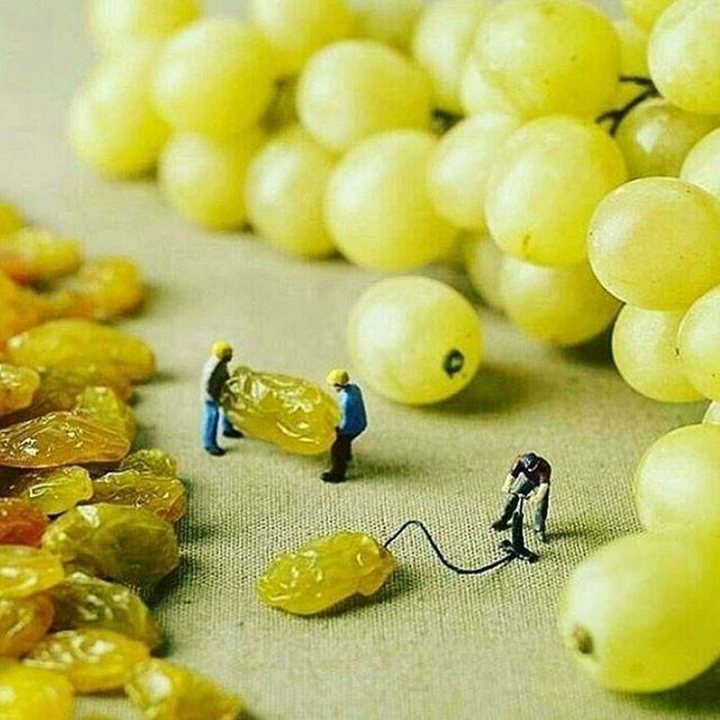 Grapes