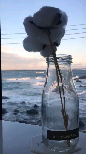 바다