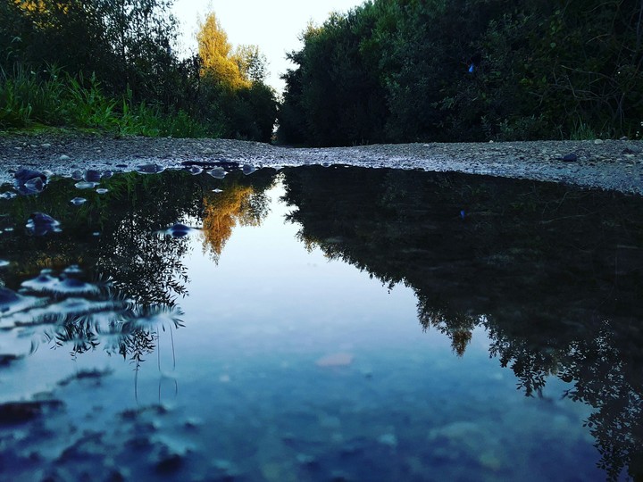 nature
