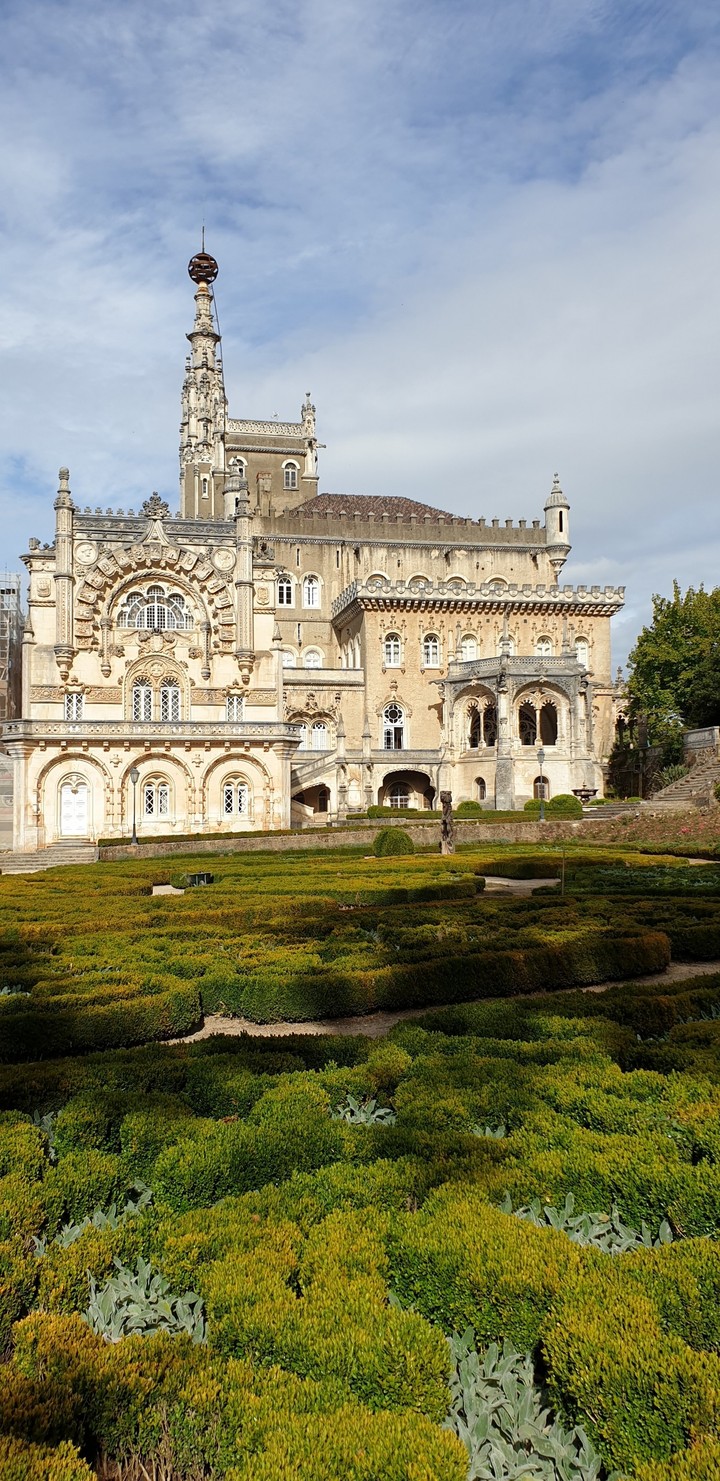 buçaco
