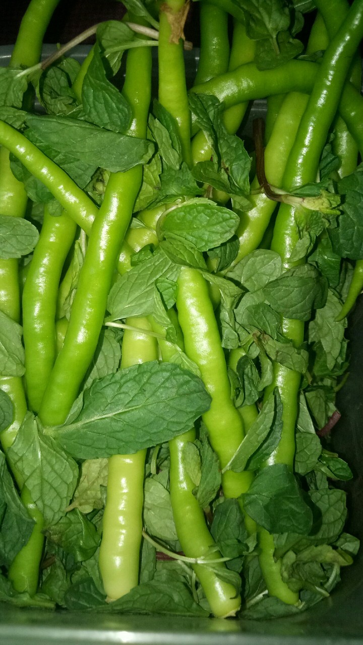 Mint leaves n Chillies