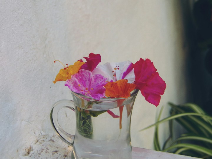 cup of  flowers