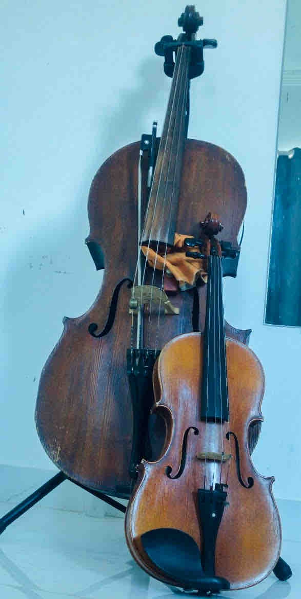 viola e cello