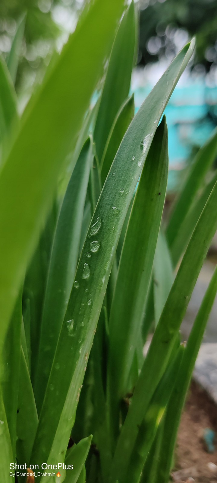 Rain ☔