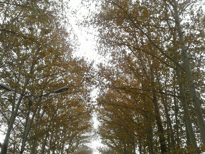 autumn sky