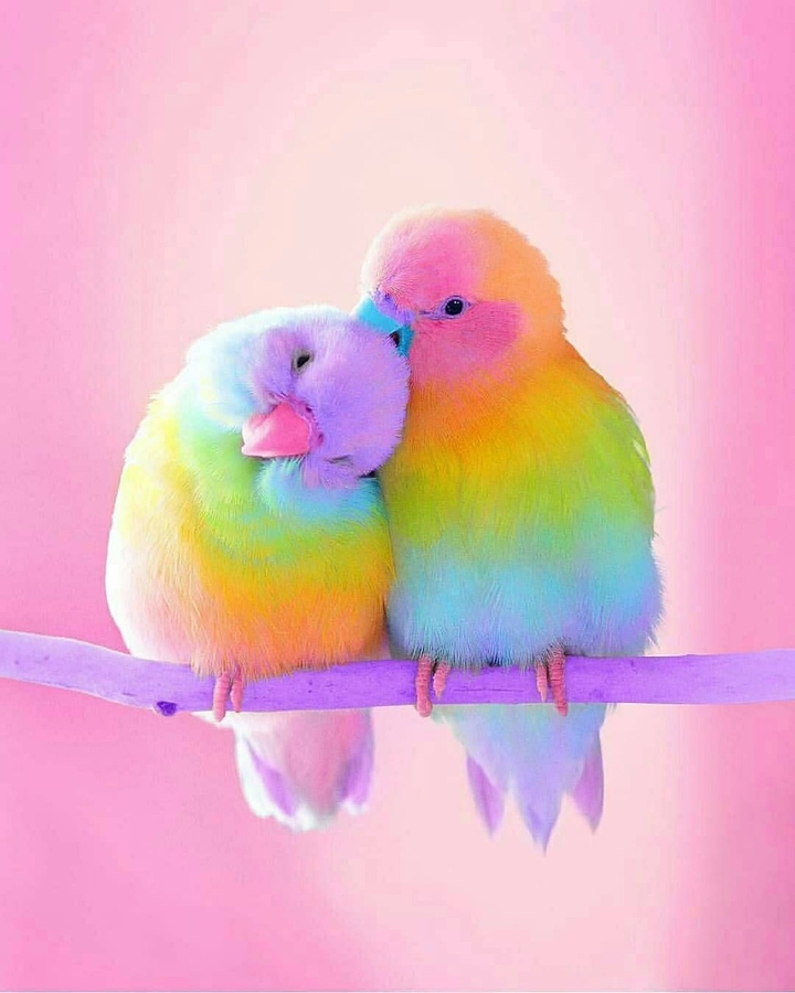 A true love