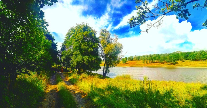 Landscape