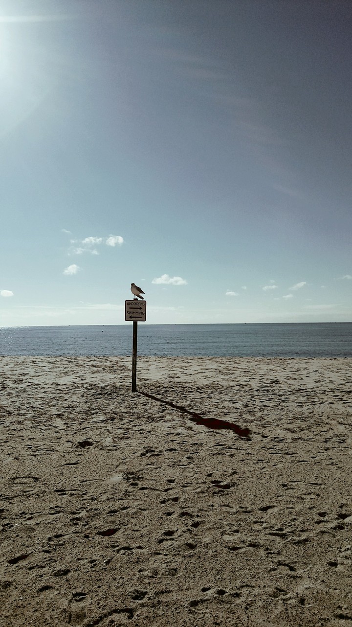 Cape Cod