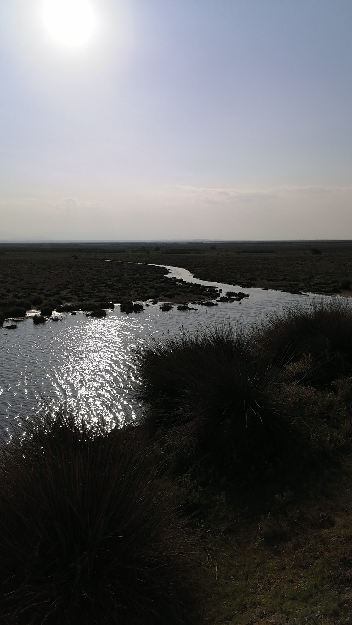 doğa